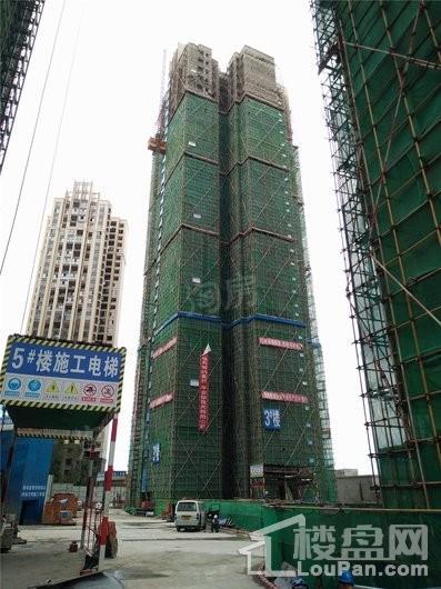 合能枫丹铂麓实景图