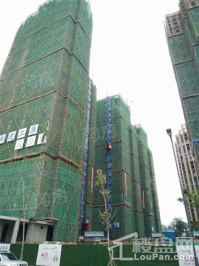 合能枫丹铂麓实景图