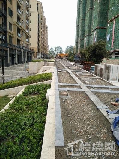 合能枫丹铂麓实景图