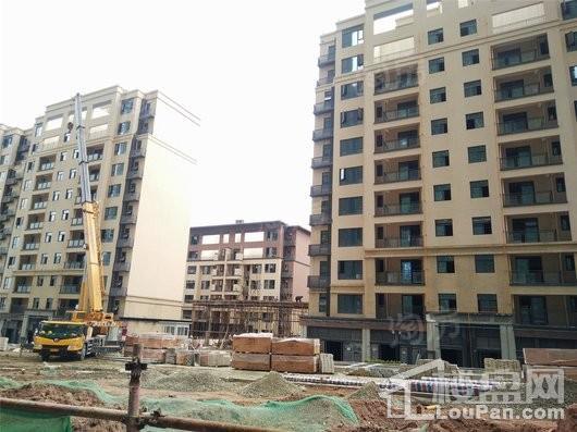 合能枫丹铂麓实景图