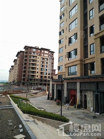 合能枫丹铂麓实景图