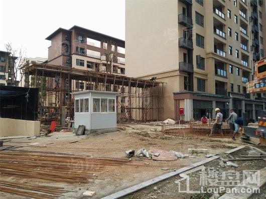 合能枫丹铂麓实景图