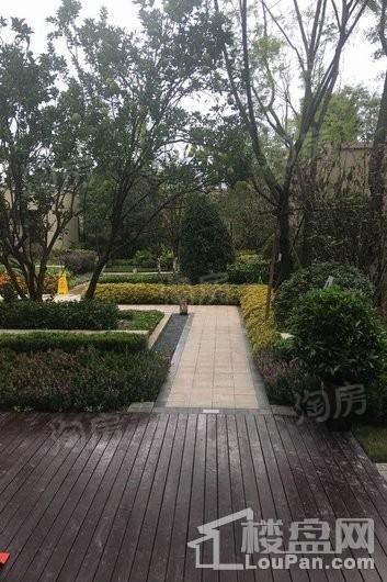 万科时光润园实景图
