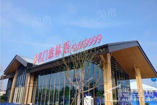 文一名门森林语实景图