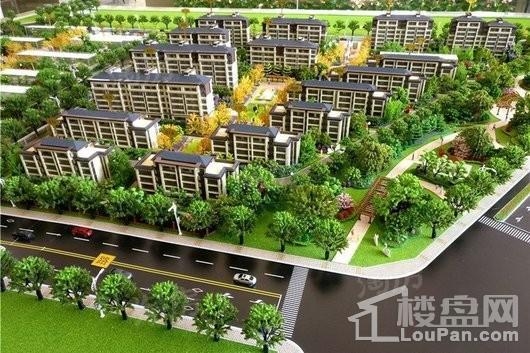 文一名门森林语实景图