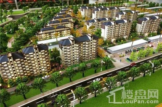 文一名门森林语实景图