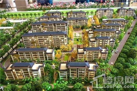 文一名门森林语实景图