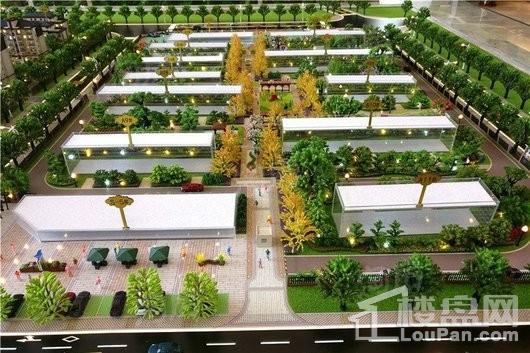 文一名门森林语实景图