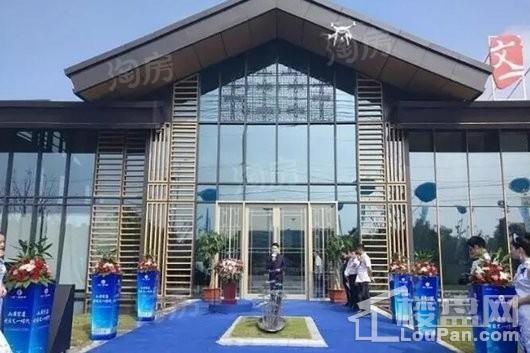 文一名门森林语实景图