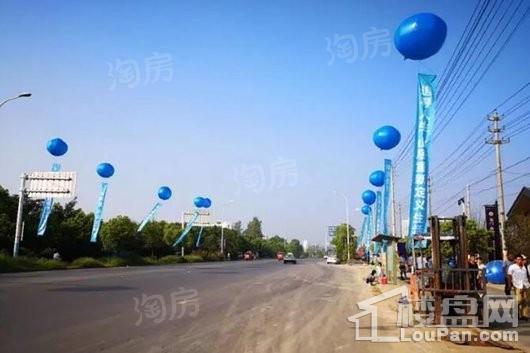 文一名门森林语实景图