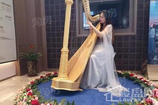 实景图