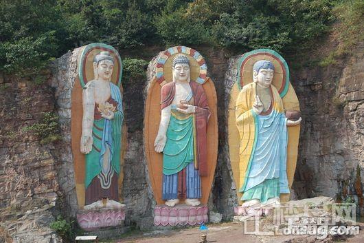 文一名门森林语配套图