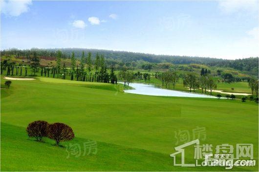 文一名门森林语配套图