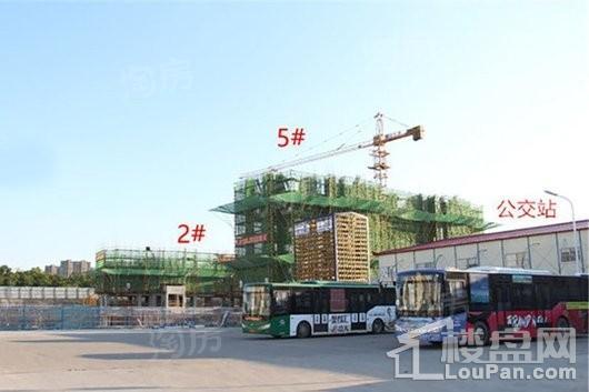 金辉·庐州云著实景图