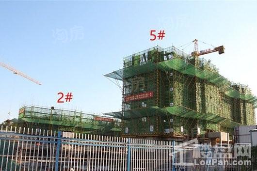 金辉·庐州云著实景图