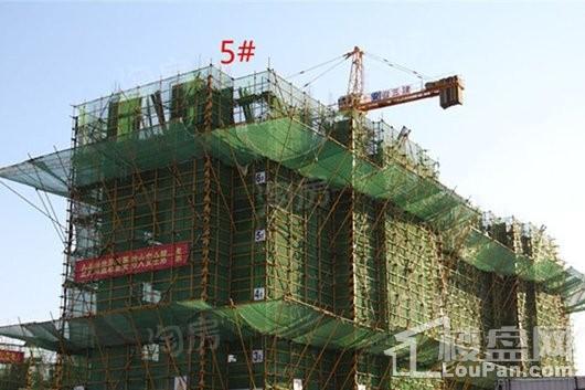 金辉·庐州云著实景图