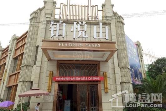 铂金汇实景图