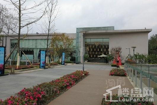 滨江两岸实景图