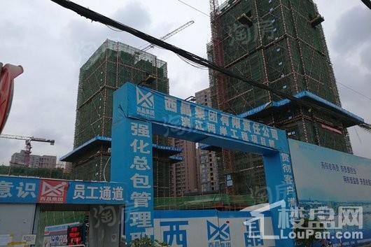 滨江两岸实景图