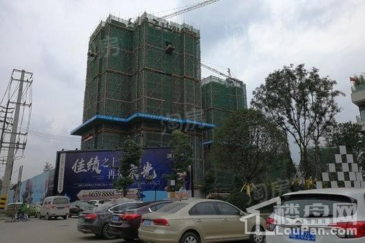 滨江两岸实景图