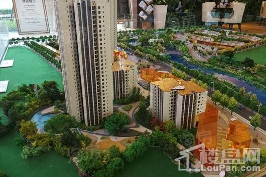 滨江两岸实景图