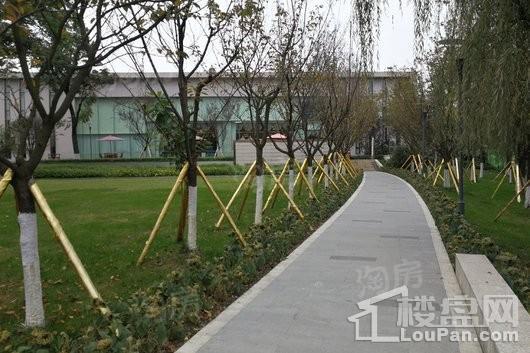 滨江两岸实景图