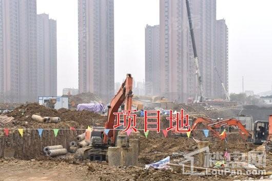 实景图