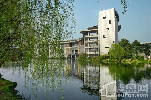 滨江两岸配套图