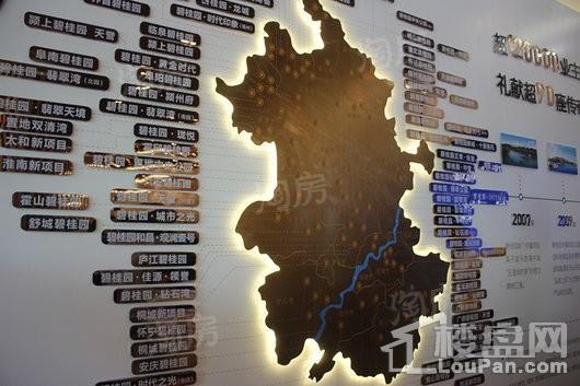 碧桂园·时代倾城实景图