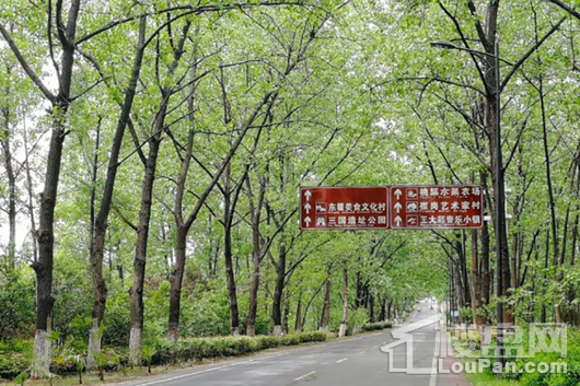 碧桂园·时代倾城配套图