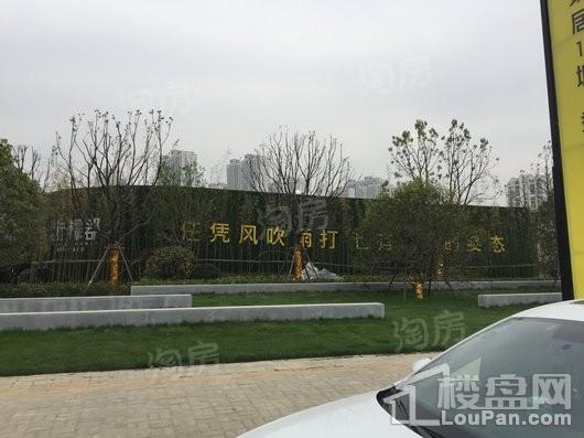 南山·柠檬郡实景图