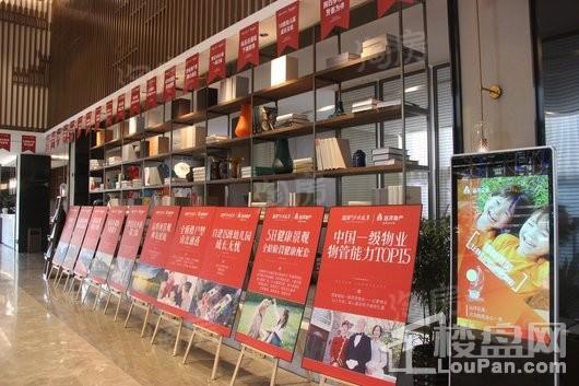 远洋庐玥风景实景图