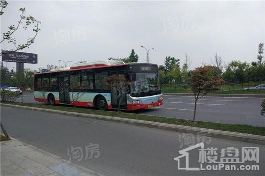 绿地新里城配套图