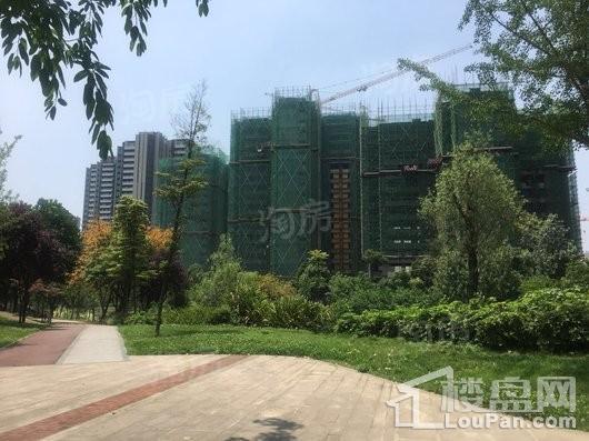 凯德世纪名邸实景图