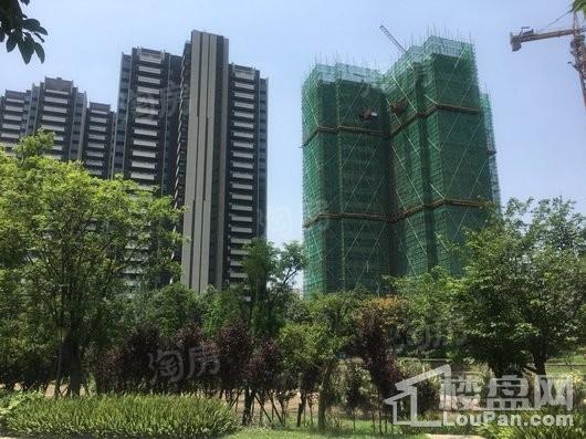 凯德世纪名邸实景图