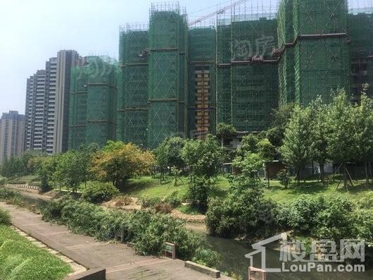 凯德世纪名邸实景图