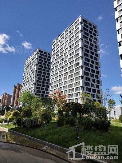 水岸十里实景图
