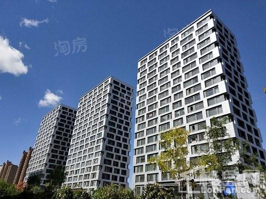 水岸十里实景图