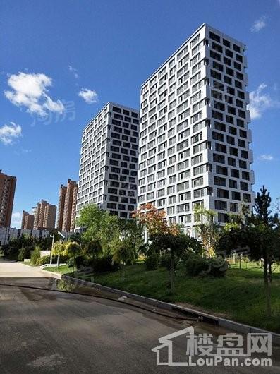 水岸十里实景图
