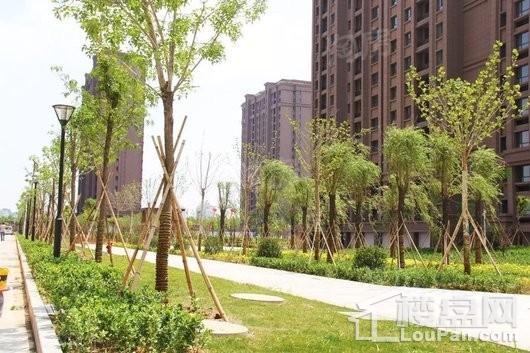 汇景新城实景图