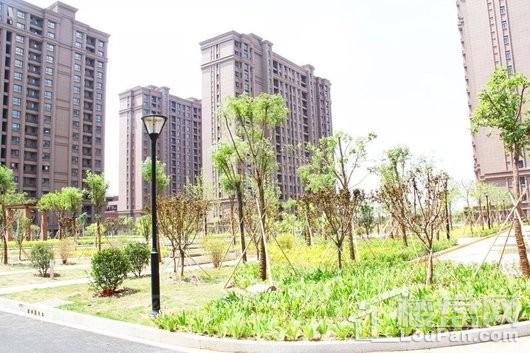 汇景新城实景图