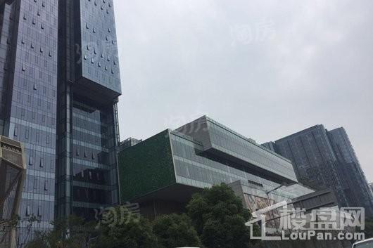 仁和春天国际公寓实景图
