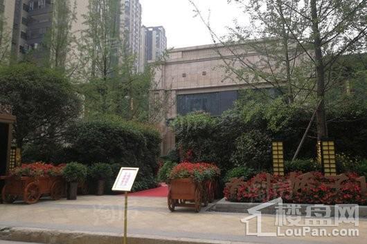 首创娇子1号实景图