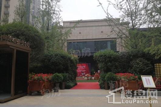 首创娇子1号实景图