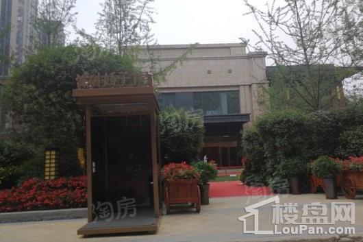 首创娇子1号实景图
