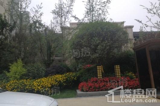 首创娇子1号实景图