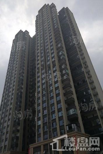 首创娇子1号实景图