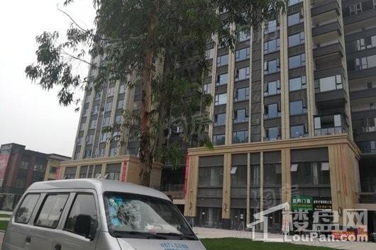 首创娇子1号实景图