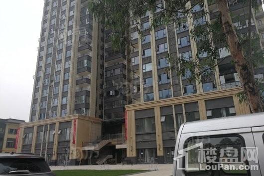 首创娇子1号实景图