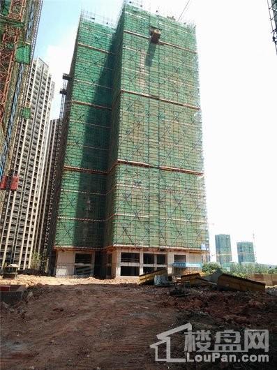 滨江和城实景图